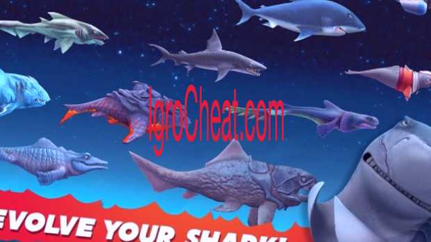 Hungry shark читы